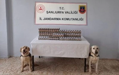 Bin 720 paket kaçak sigara ele geçirildi
