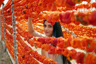 Bölgede sebze kurutmalıkları sezonu açıldı