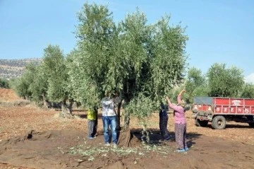 Bu işte bir terslik var