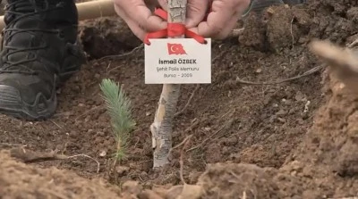 Bursa’da şehitler için fidan dikildi