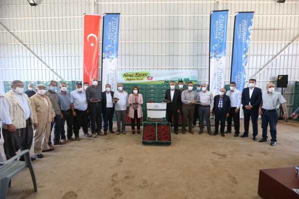 BÜYÜKŞEHİR’DEN KİRAZ ÜRETİCİLERİNE DESTEK!