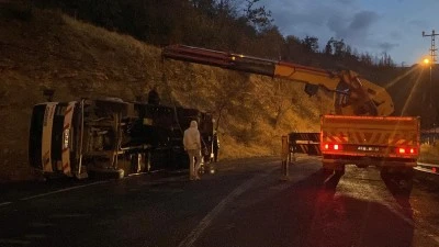 Canlı hayvan yüklü çekici devrildi: 2 hayvan yaralandı 