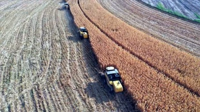 Çiftçilere 89,7 milyar liralık tarımsal destek ödemesi 