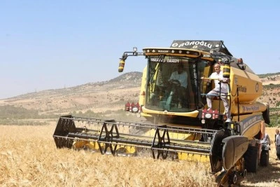 Çiftçilere ücretsiz dağıtılan arpalarda hasat başladı