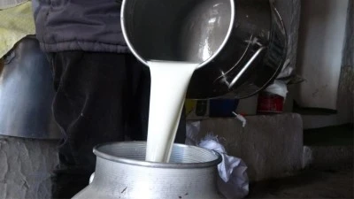 Çiğ süt fiyatları açıklandı