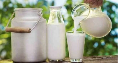 Çiğ süt üretimi arttı mı, azaldı mı?