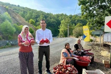Daldan sofraya ekşi yolculuk
