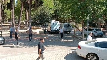 Dede ve torunu hayatını kaybetti