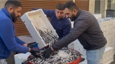 Denizi Olmayan Kilis’te Hamsi 100 TL’ye Düştü 