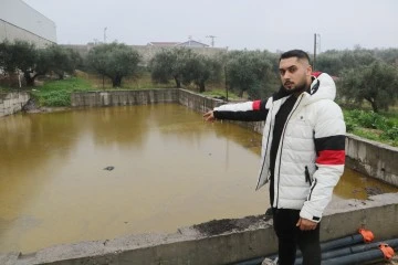 Depodan sızan tonlarca zeytinyağı araziye yayıldı