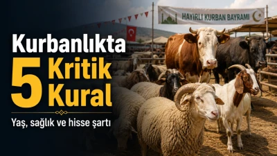 Diyanet Kurbanlıkta 5 Kritik Kuralı a&ccedil;ıkladı 