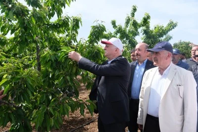 Doğal afetler tarım sektörüne ciddi boyutlarda zarar verdi