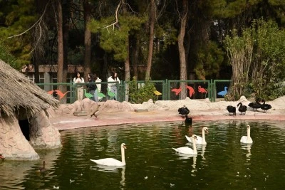 Doğal Yaşam Parkına ara tatilde ziyaretçi akını