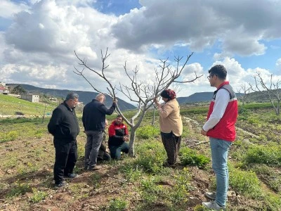 Dorucak K&ouml;y&uuml;&rsquo;nde &Ccedil;ift&ccedil;ilere İncir Bah&ccedil;esi Eğitimi