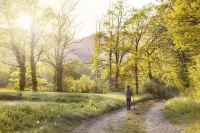 Düzenli Yürüyüşün Faydaları