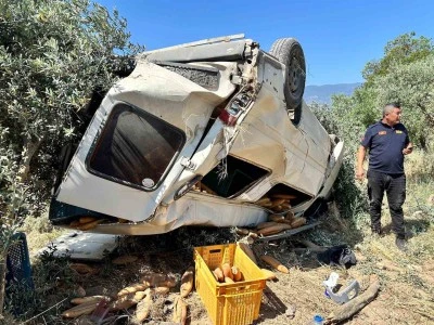 Ekmek taşıyan ticari araç zeytinliğe uçtu: 1 ölü