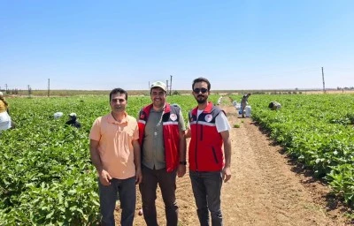 Elbeyli’de biber ve patlıcan hasadı devam ediyor