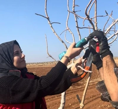 Elbeyli ilçesinde Üreticilerine Uygulamalı Eğitimi