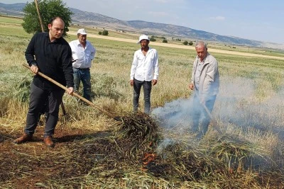 Firik sezonu başladı