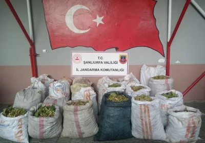 Fıstık çalan şahıslar yakalandı