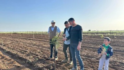 Fıstık yetiştiriciliğine rağbet artıyor