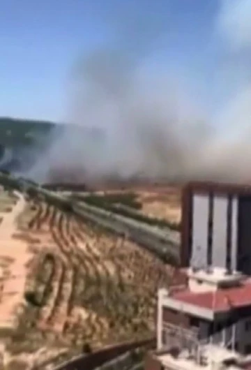 Gaziantep'te orman yangını