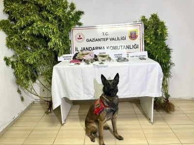 Gaziantep’te uyuşturucu operasyonu