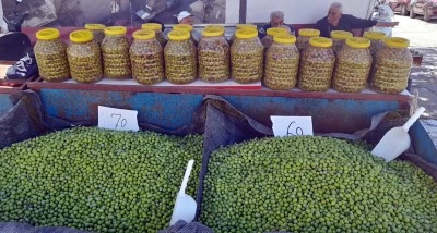 Kilis’te Yeşil Zeytin Tezgâhlarda Yerini Aldı: Kilosu ne kadar?