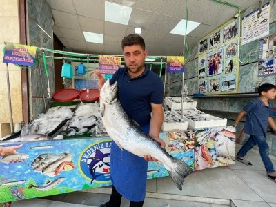 Kilis&rsquo;te Balık Sezonu A&ccedil;ıldı: Tezg&acirc;hlarda Bereket Başladı!