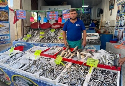 Kilis’te Balık Tezgâhlarının Gözdesi: Lokum Balığı ve Hamsi