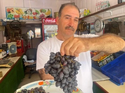 Kilis’te Horoz Karası Üzüm Tezgâhlarda