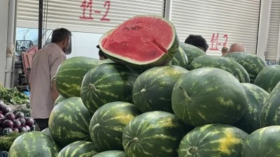 Yapay Zeka Tezgâhta: Karpuzun İyisini O Seçiyor!