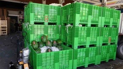 Halden 700 kilo karpuz çalındı!