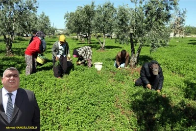 Hangillioğlu’ndan çiftçilere acil destek çağrısı