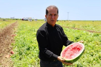 Hasadı süren karpuzun fiyatı şaşırttı
