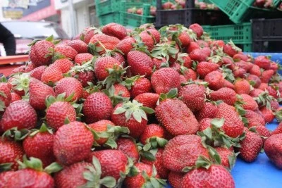 Haziranda En Fazla Zamlanan &Uuml;r&uuml;nler A&ccedil;ıklandı: &Ccedil;ilek, Havu&ccedil;, Kabak ve Soğan Cep Yaktı