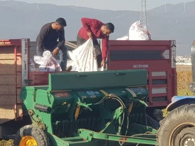 İslahiye Ovası'nda buğday ekimine başlandı