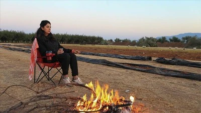Kadın çiftçiler kuru üzüm için gece gündüz nöbette