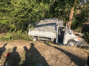 Kamyonet ağaca çarptı: 3 ölü