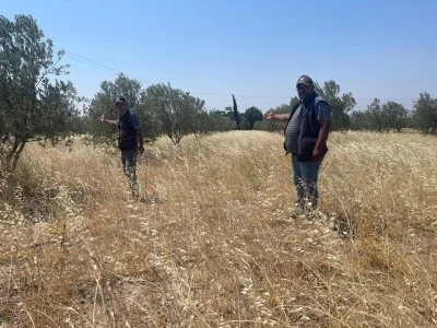 Karadayı Uyardı: Bakımsız Araziler Kilis'i Yangın Riskiyle Karşı Karşıya Bırakıyor
