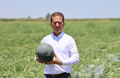 Karpuz fiyatları tarlada dibi gördü