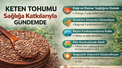 Keten Tohumu Sağlıkta &Ouml;ne &Ccedil;ıkıyor