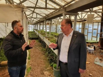 Kilis'i süsleyen çiçekler belediye serasında yetişiyor