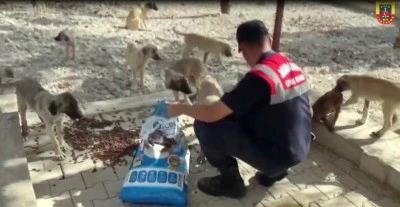 Kilis İl Jandarma Komutanlığından Hayvanlara Anlamlı Ziyaret