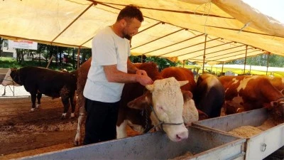 Kilis'in de aralarında bulunduğu tüm illerde hayvan pazarları kapatıldı