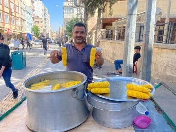 Kilis’in meşhur darısı satışa çıktı