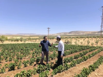 Kilis köylerinde çiftçileri bilgilendirmeye devam ediyor  