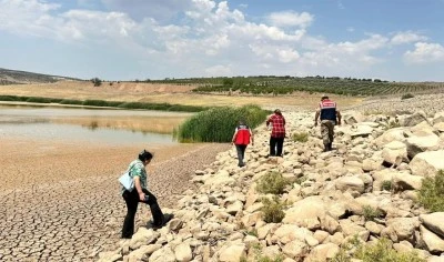 Kilis Musabeyli Üçpınar Barajı’nda balık ölümleri araştırılıyor