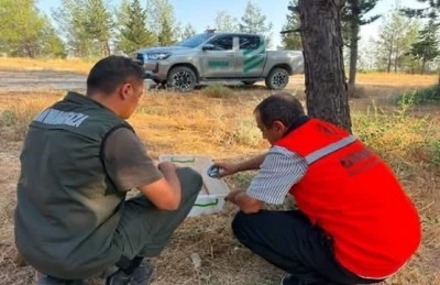 Kilis Ormanlarında Alarm! 