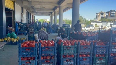   Kilis Sebze Hali&rsquo;nde fiyatlar g&uuml;ncellendi: domates 7 TL&rsquo;ye kadar d&uuml;şt&uuml;